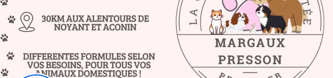 pension la garderie enchantée petsitter