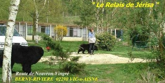 pension canine le relais de jerisa