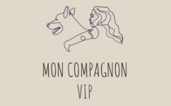 mon compagnon vip pet sitting à domicile, dog walking, garde chiens et chats