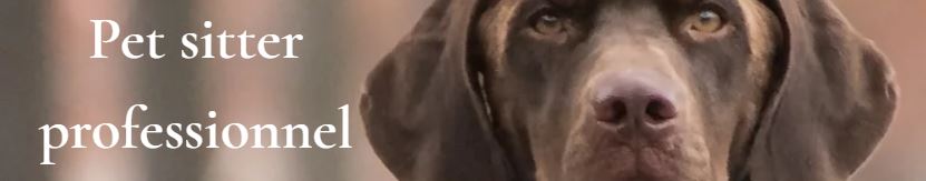 atout dog