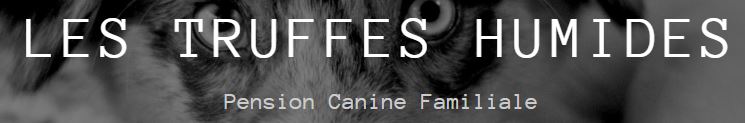 les truffes humides