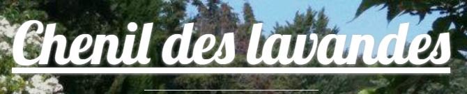 chenil des lavandes pension chiens et chats