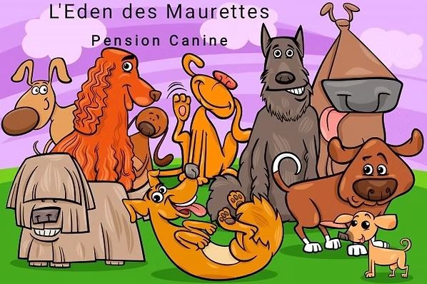 l'eden des maurettes pension canine sur istres