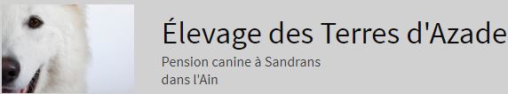 pension chien des terres d-azade