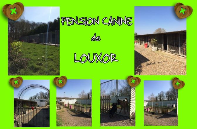 pension du domaine de louxor