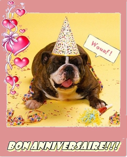 carte anniversaire chien bon anniversaire