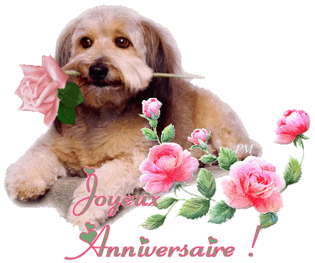 Carte Anniversaire Simple Chiens Dogs Simple Birthday Cards