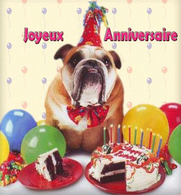 carte anniversaire chien joyeux anniversaire