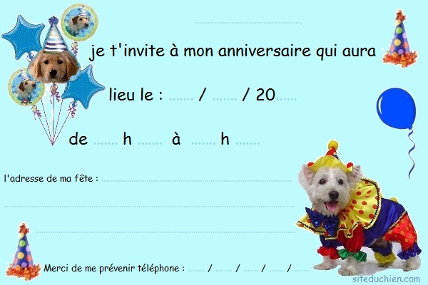 Cartes D'invitation Anniversaire Enfant NOZHAM – 10 Cartes + Enveloppes, 3 Thèmes, Papier 350g/m²