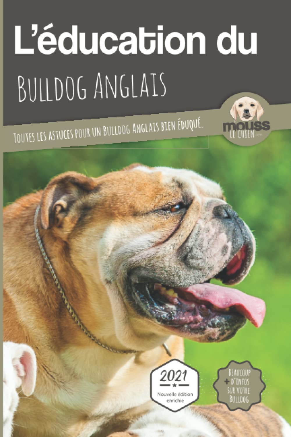 education bouledogue anglais