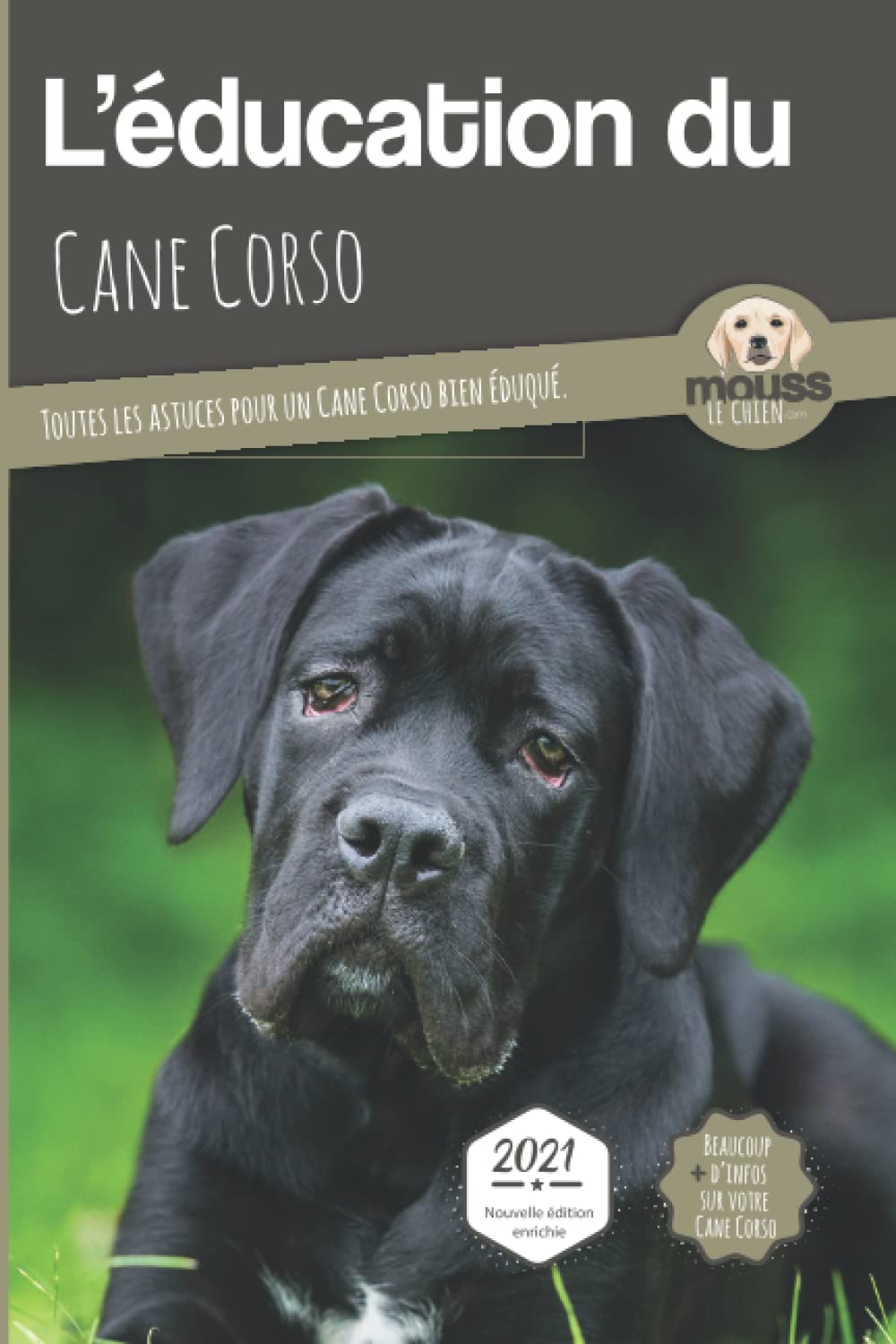 education du cane corso