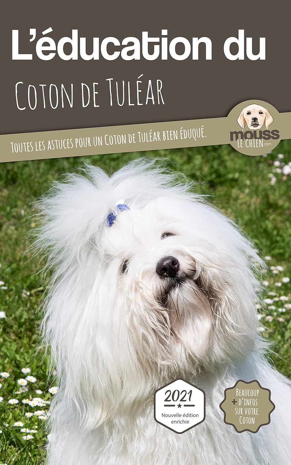 education coton tulear