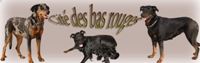 bas rouge beauceron