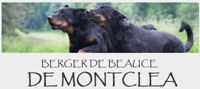 beauceron