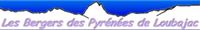 berger des pyrénées