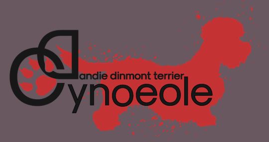 cynoeole