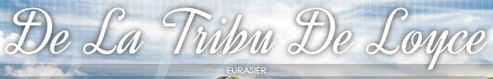 eurasier