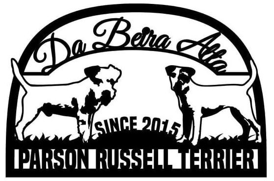 parson russel terrier