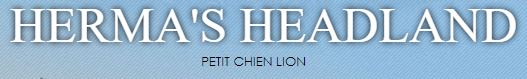 petit chien lion