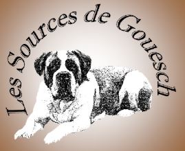 saint-bernard