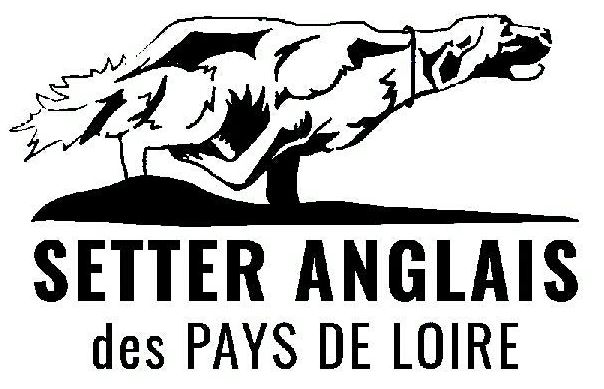 setter anglais