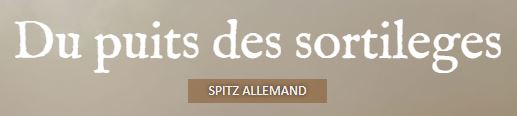 spitz nain allemand