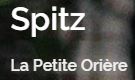 spitz nain allemand