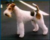 fox terrier